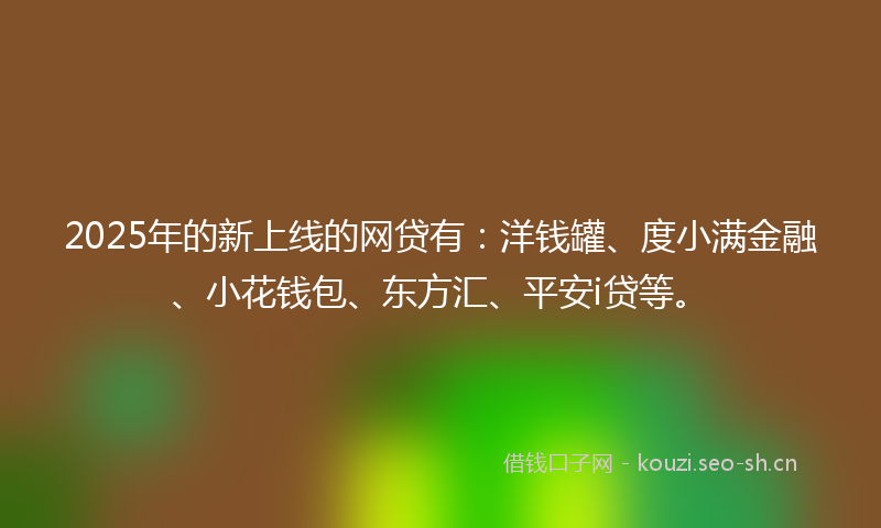 2025年的新上线的网贷有：洋钱罐、度小满金融、小花钱包、东方汇、平安i贷等。