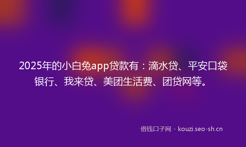 2025年的小白兔app贷款有：滴水贷、平安口袋银行、我来贷、美团生活费、团贷网等。