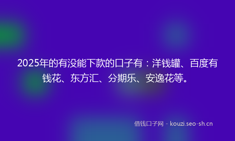 2025年的有没能下款的口子有：洋钱罐、百度有钱花、东方汇、分期乐、安逸花等。