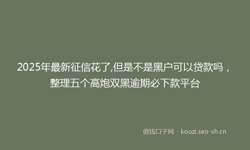 2025年最新征信花了,但是不是黑户可以贷款吗，整理五个高炮双黑逾期必下款平台