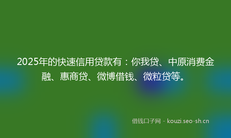 2025年的快速信用贷款有：你我贷、中原消费金融、惠商贷、微博借钱、微粒贷等。