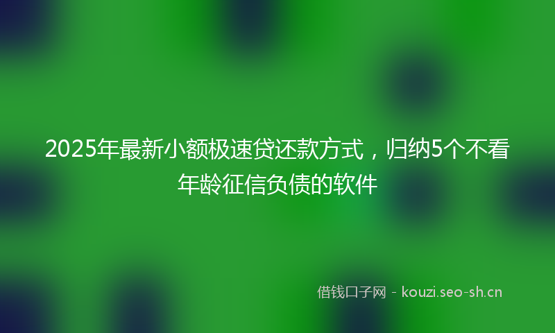 2025年最新小额极速贷还款方式，归纳5个不看年龄征信负债的软件