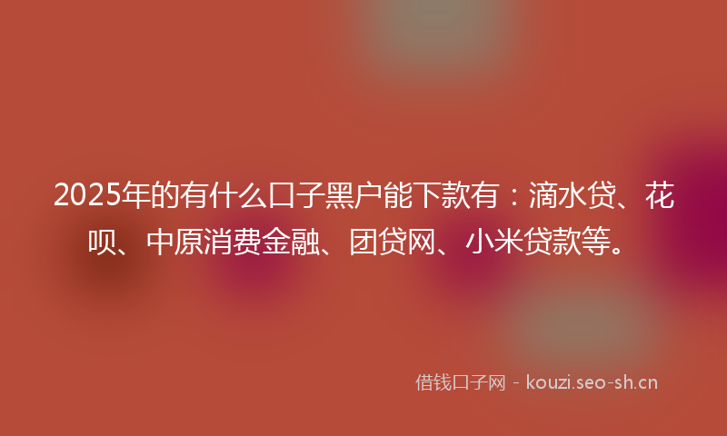 2025年的有什么口子黑户能下款有：滴水贷、花呗、中原消费金融、团贷网、小米贷款等。