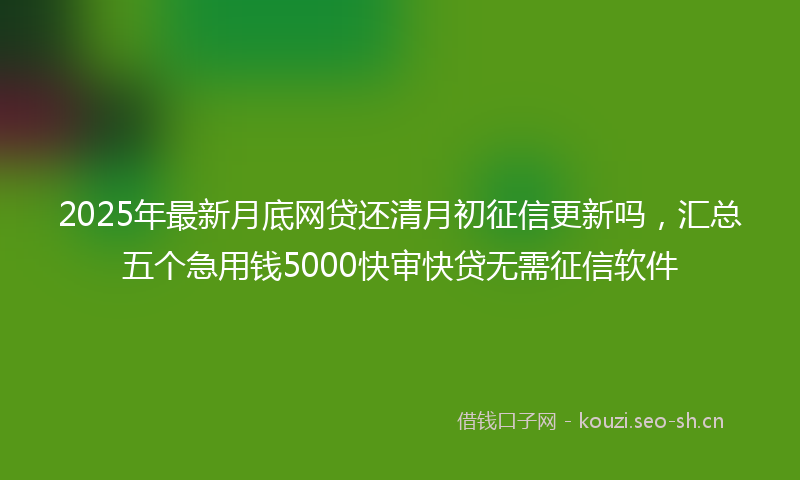 2025年最新月底网贷还清月初征信更新吗，汇总五个急用钱5000快审快贷无需征信软件