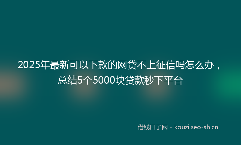 2025年最新可以下款的网贷不上征信吗怎么办，总结5个5000块贷款秒下平台