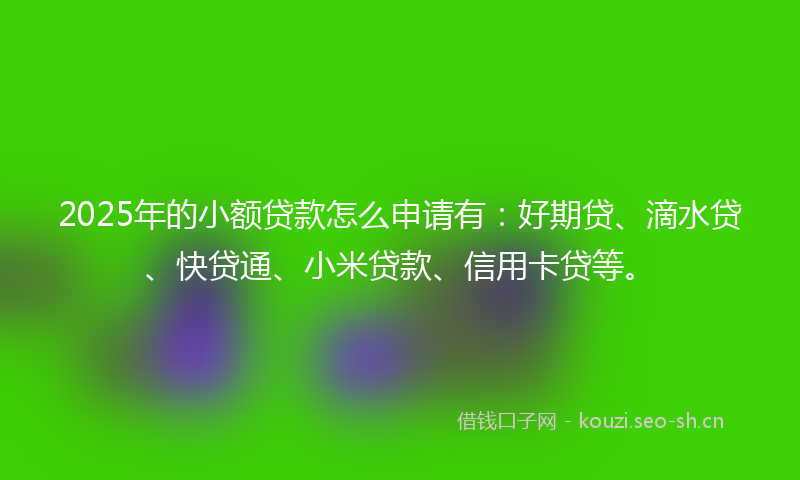 2025年的小额贷款怎么申请有：好期贷、滴水贷、快贷通、小米贷款、信用卡贷等。