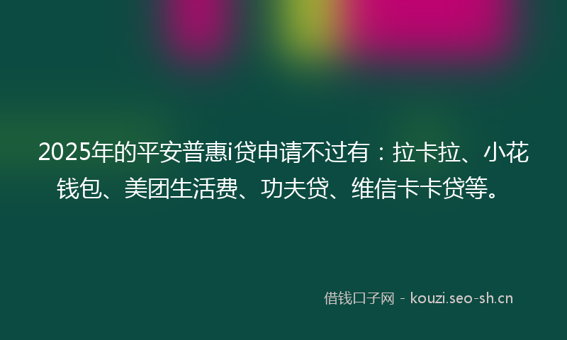 2025年的平安普惠i贷申请不过有：拉卡拉、小花钱包、美团生活费、功夫贷、维信卡卡贷等。