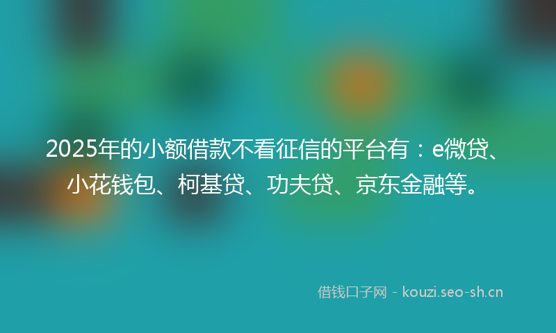 2025年的小额借款不看征信的平台有：e微贷、小花钱包、柯基贷、功夫贷、京东金融等。
