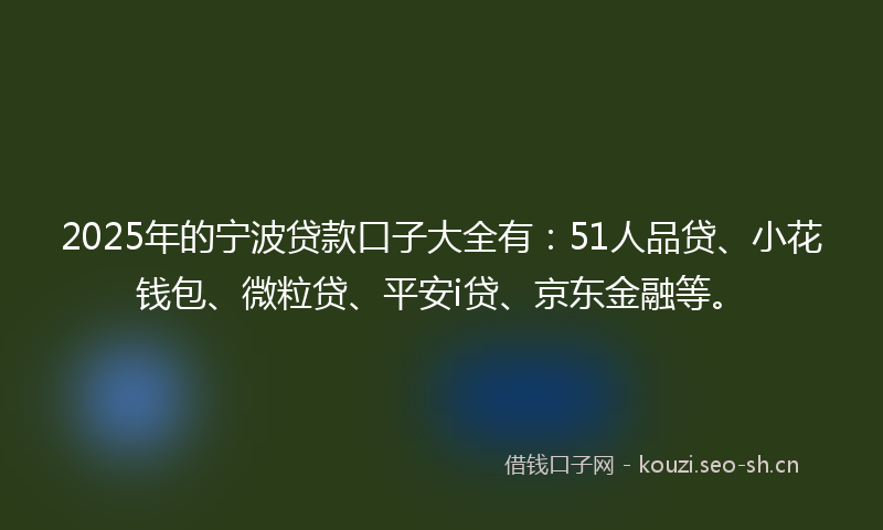 2025年的宁波贷款口子大全有：51人品贷、小花钱包、微粒贷、平安i贷、京东金融等。