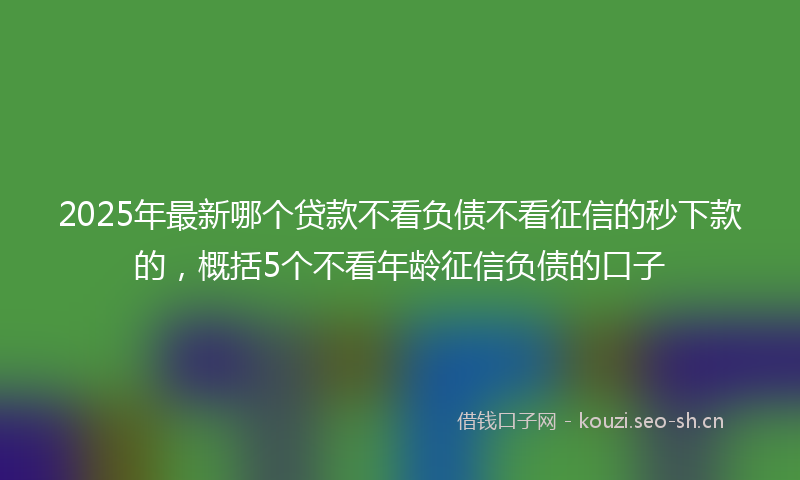 2025年最新哪个贷款不看负债不看征信的秒下款的，概括5个不看年龄征信负债的口子