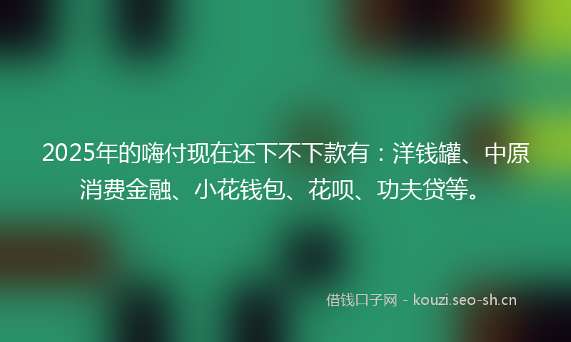 2025年的嗨付现在还下不下款有：洋钱罐、中原消费金融、小花钱包、花呗、功夫贷等。