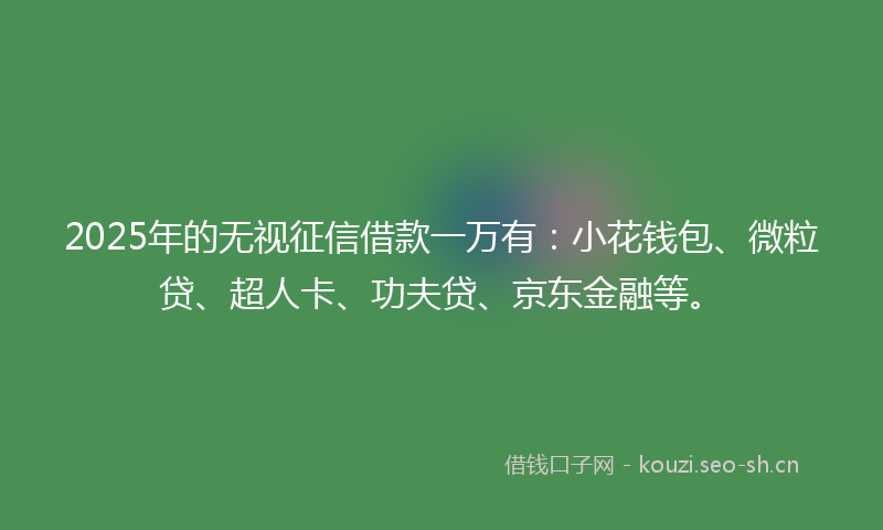 2025年的无视征信借款一万有：小花钱包、微粒贷、超人卡、功夫贷、京东金融等。