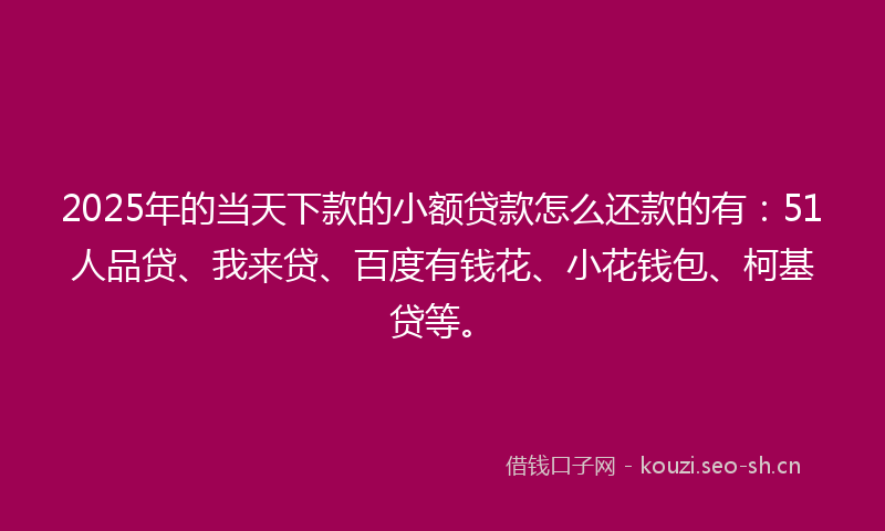 2025年的当天下款的小额贷款怎么还款的有：51人品贷、我来贷、百度有钱花、小花钱包、柯基贷等。