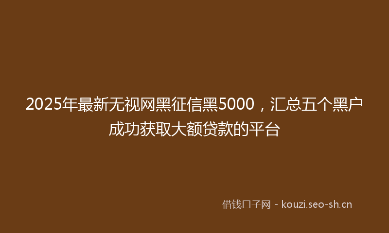 2025年最新无视网黑征信黑5000，汇总五个黑户成功获取大额贷款的平台