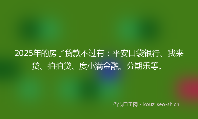 2025年的房子贷款不过有：平安口袋银行、我来贷、拍拍贷、度小满金融、分期乐等。