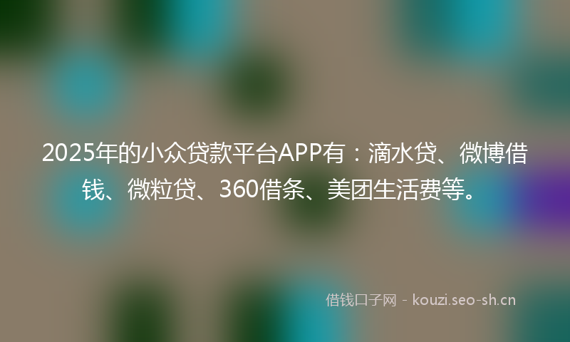 2025年的小众贷款平台APP有：滴水贷、微博借钱、微粒贷、360借条、美团生活费等。