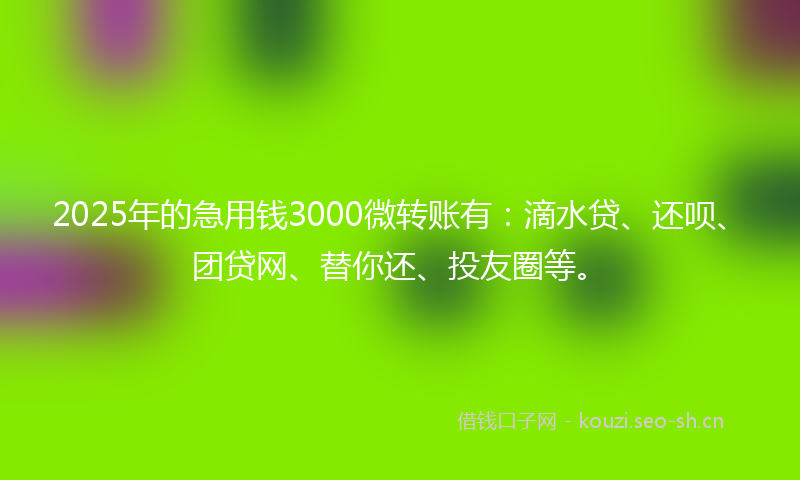2025年的急用钱3000微转账有:滴水贷、还呗、团贷网、替你还、投友圈等。