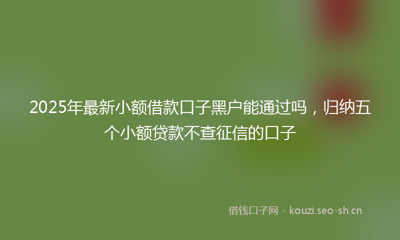 2025年最新小额借款口子黑户能通过吗，归纳五个小额贷款不查征信的口子