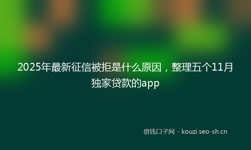 2025年最新征信被拒是什么原因，整理五个11月独家贷款的app
