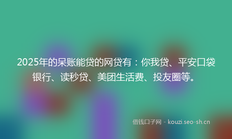 2025年的呆账能贷的网贷有：你我贷、平安口袋银行、读秒贷、美团生活费、投友圈等。