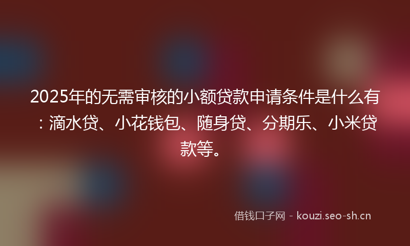 2025年的无需审核的小额贷款申请条件是什么有：滴水贷、小花钱包、随身贷、分期乐、小米贷款等。