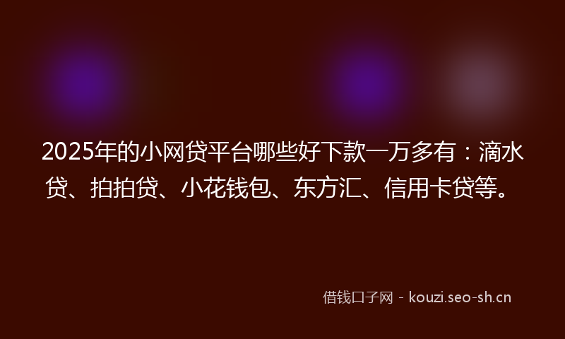 2025年的小网贷平台哪些好下款一万多有：滴水贷、拍拍贷、小花钱包、东方汇、信用卡贷等。