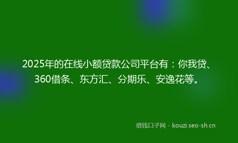 2025年的在线小额贷款公司平台有：你我贷、360借条、东方汇、分期乐、安逸花等。