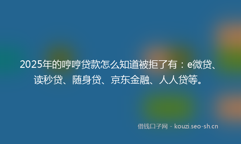 2025年的哼哼贷款怎么知道被拒了有:e微贷、读秒贷、随身贷、京东金融、人人贷等。