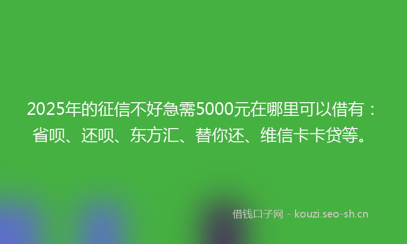 2025年的征信不好急需5000元在哪里可以借有：省呗、还呗、东方汇、替你还、维信卡卡贷等。
