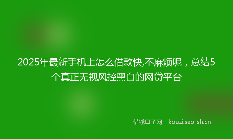 2025年最新手机上怎么借款快,不麻烦呢，总结5个真正无视风控黑白的网贷平台