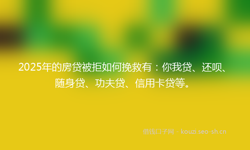 2025年的房贷被拒如何挽救有：你我贷、还呗、随身贷、功夫贷、信用卡贷等。