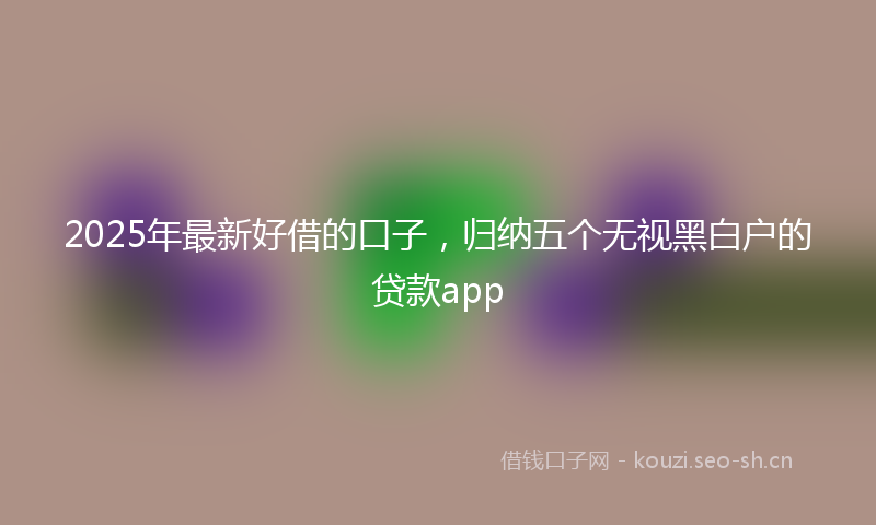 2025年最新好借的口子，归纳五个无视黑白户的贷款app