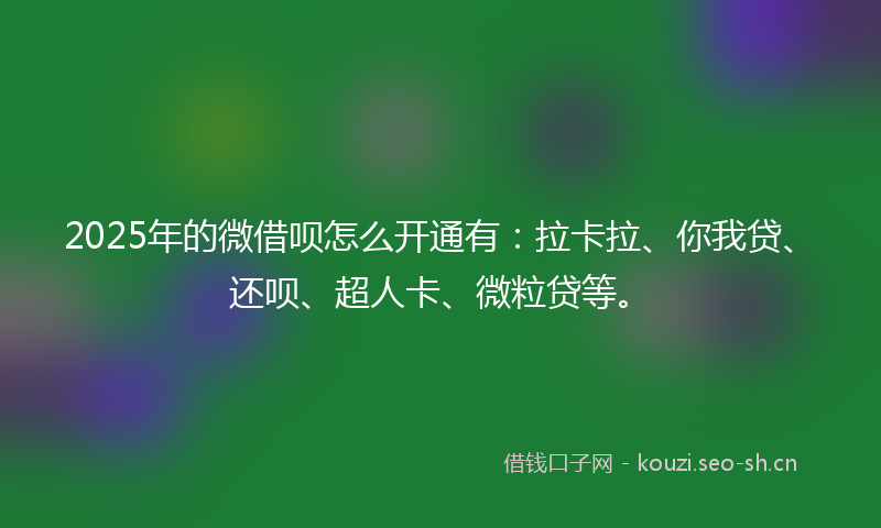 2025年的微借呗怎么开通有：拉卡拉、你我贷、还呗、超人卡、微粒贷等。