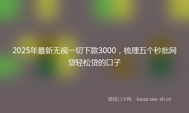 2025年最新无视一切下款3000，梳理五个秒批网贷轻松贷的口子