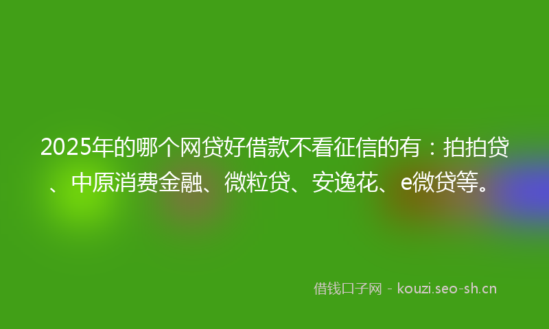 2025年的哪个网贷好借款不看征信的有：拍拍贷、中原消费金融、微粒贷、安逸花、e微贷等。