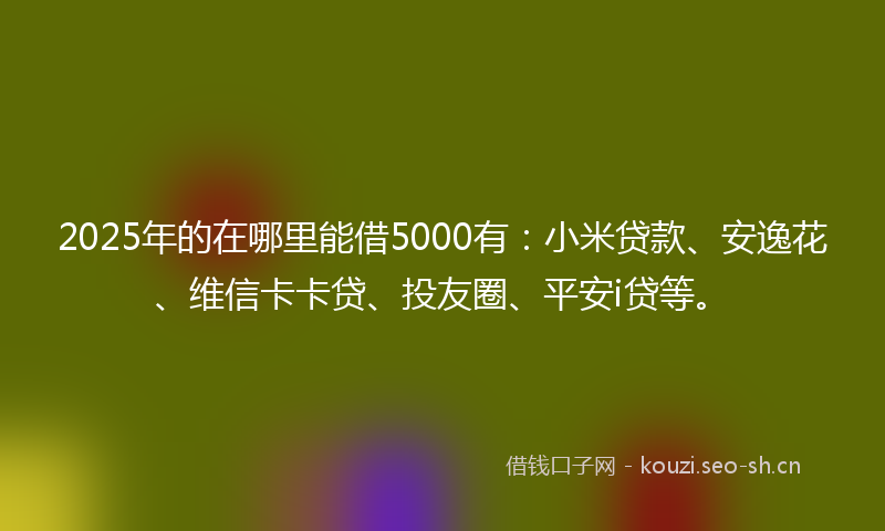 2025年的在哪里能借5000有:小米贷款、安逸花、维信卡卡贷、投友圈、平安i贷等。