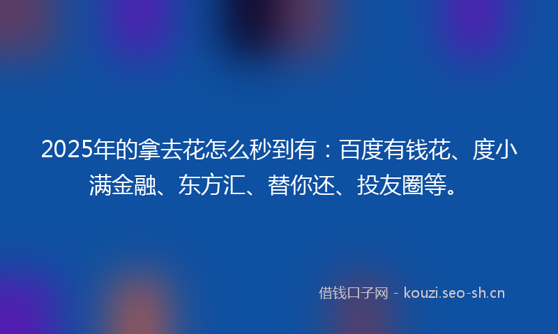 2025年的拿去花怎么秒到有：百度有钱花、度小满金融、东方汇、替你还、投友圈等。