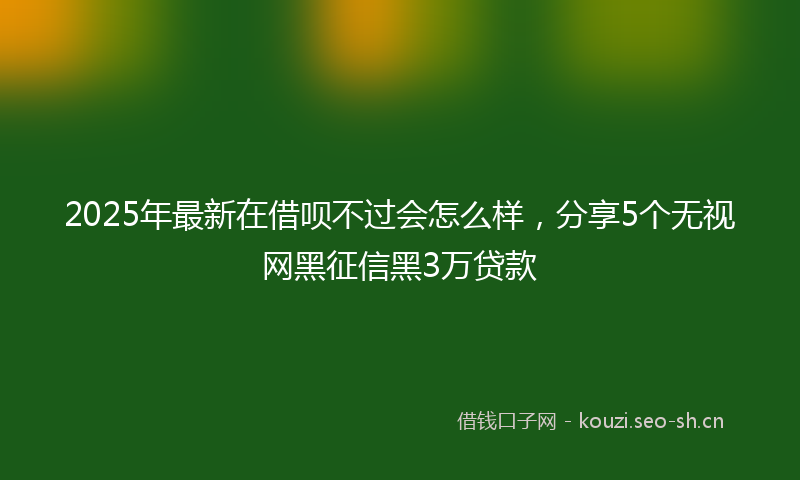 2025年最新在借呗不过会怎么样，分享5个无视网黑征信黑3万贷款