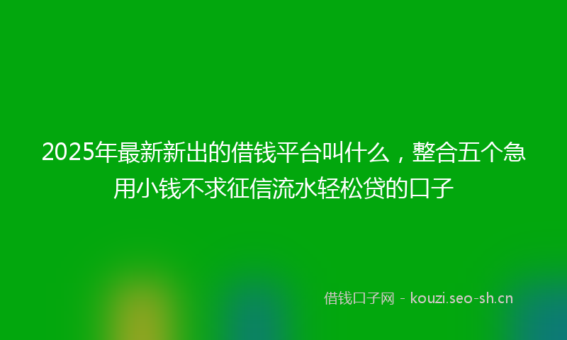 2025年最新新出的借钱平台叫什么，整合五个急用小钱不求征信流水轻松贷的口子