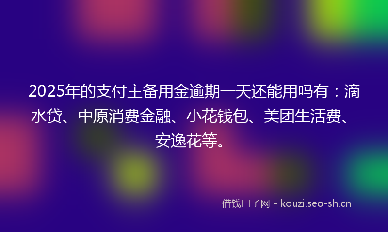 2025年的支付主备用金逾期一天还能用吗有：滴水贷、中原消费金融、小花钱包、美团生活费、安逸花等。