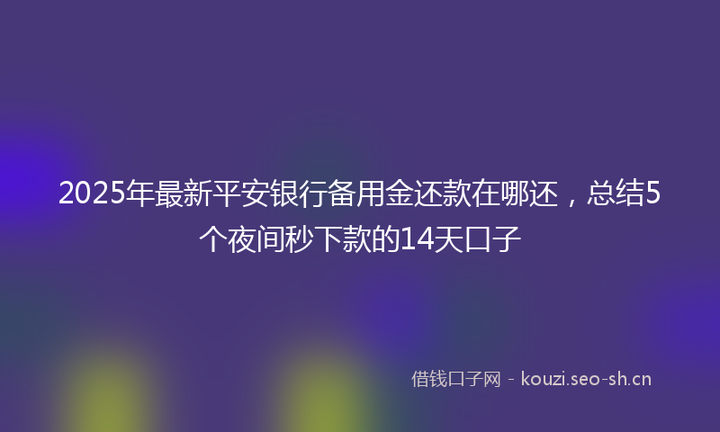 2025年最新平安银行备用金还款在哪还，总结5个夜间秒下款的14天口子