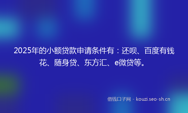 2025年的小额贷款申请条件有：还呗、百度有钱花、随身贷、东方汇、e微贷等。
