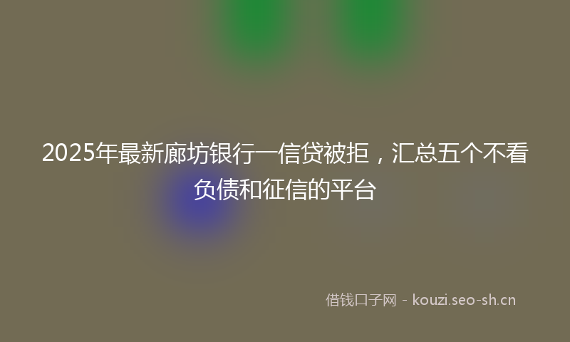 2025年最新廊坊银行一信贷被拒，汇总五个不看负债和征信的平台