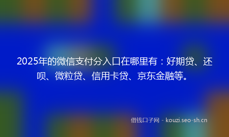 2025年的微信支付分入口在哪里有：好期贷、还呗、微粒贷、信用卡贷、京东金融等。