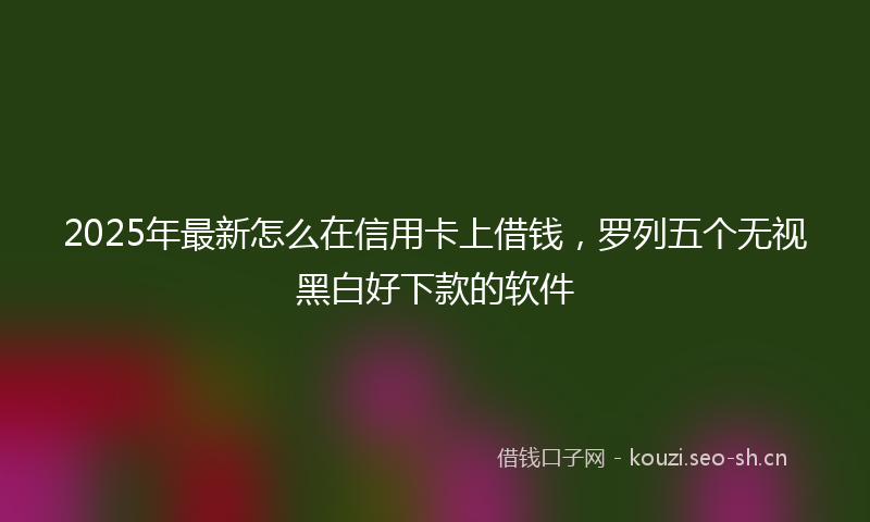 2025年最新怎么在信用卡上借钱，罗列五个无视黑白好下款的软件