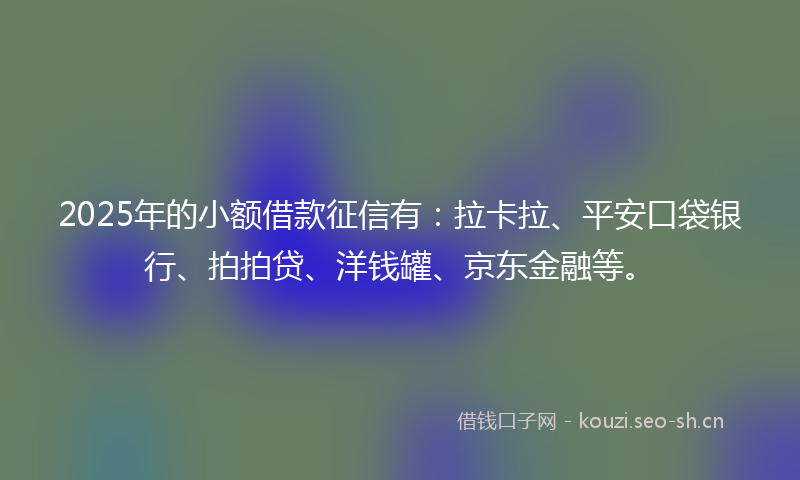 2025年的小额借款征信有：拉卡拉、平安口袋银行、拍拍贷、洋钱罐、京东金融等。