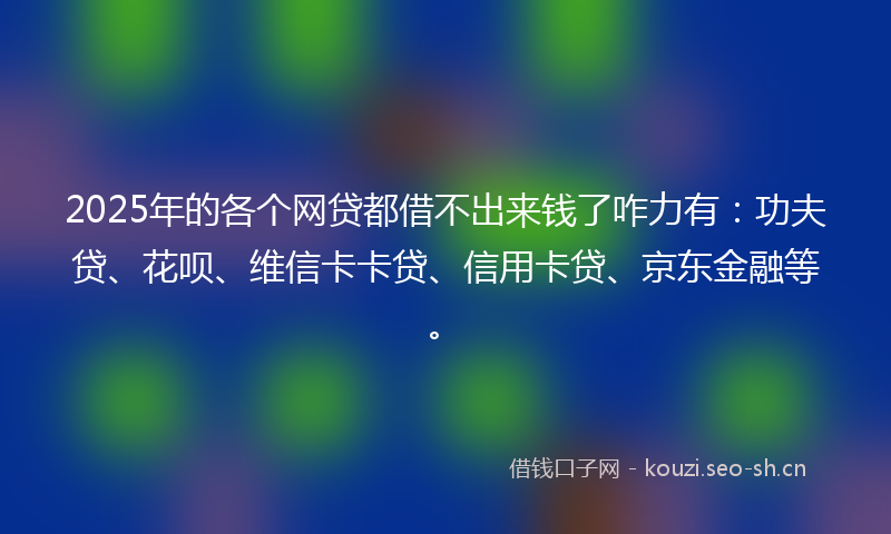 2025年的各个网贷都借不出来钱了咋力有：功夫贷、花呗、维信卡卡贷、信用卡贷、京东金融等。