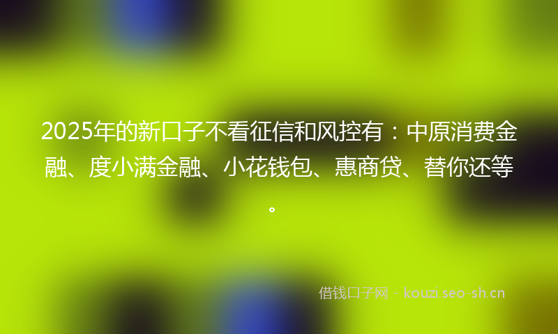 2025年的新口子不看征信和风控有：中原消费金融、度小满金融、小花钱包、惠商贷、替你还等。