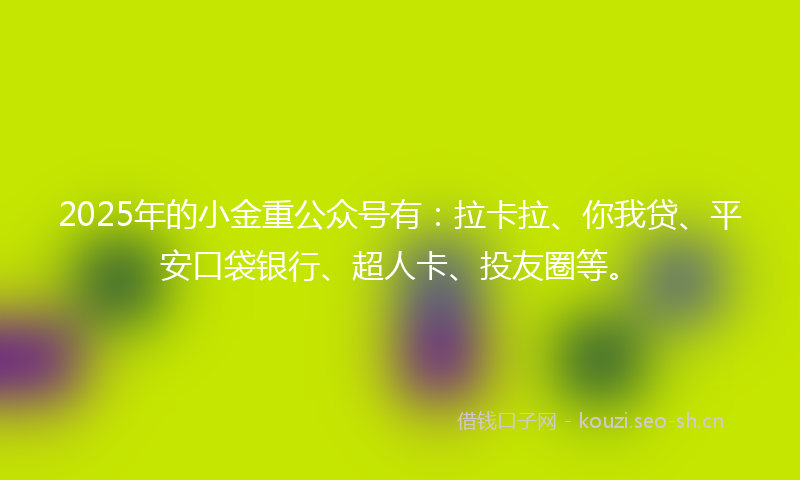 2025年的小金重公众号有：拉卡拉、你我贷、平安口袋银行、超人卡、投友圈等。