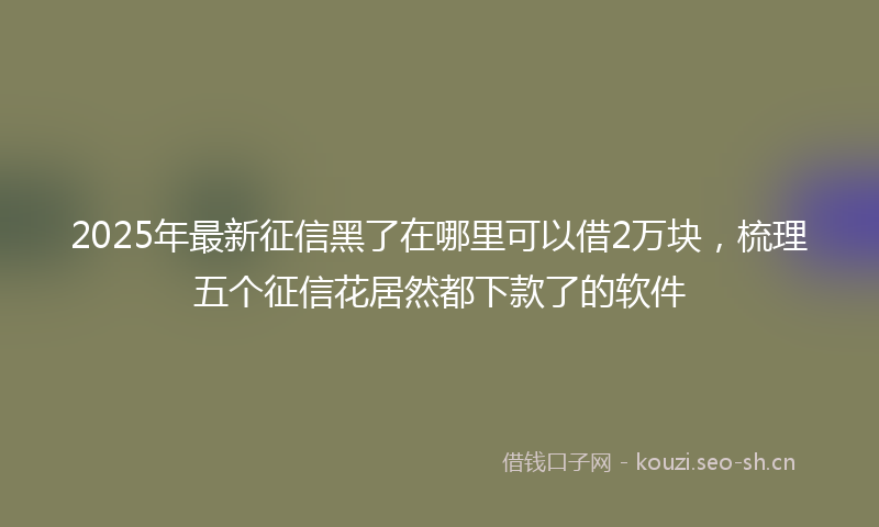 2025年最新征信黑了在哪里可以借2万块，梳理五个征信花居然都下款了的软件